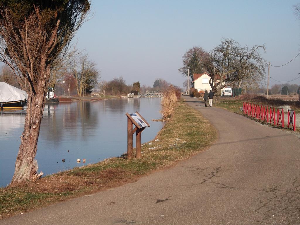 Gite Les Rosiers Traubach-le-Bas ภายนอก รูปภาพ
